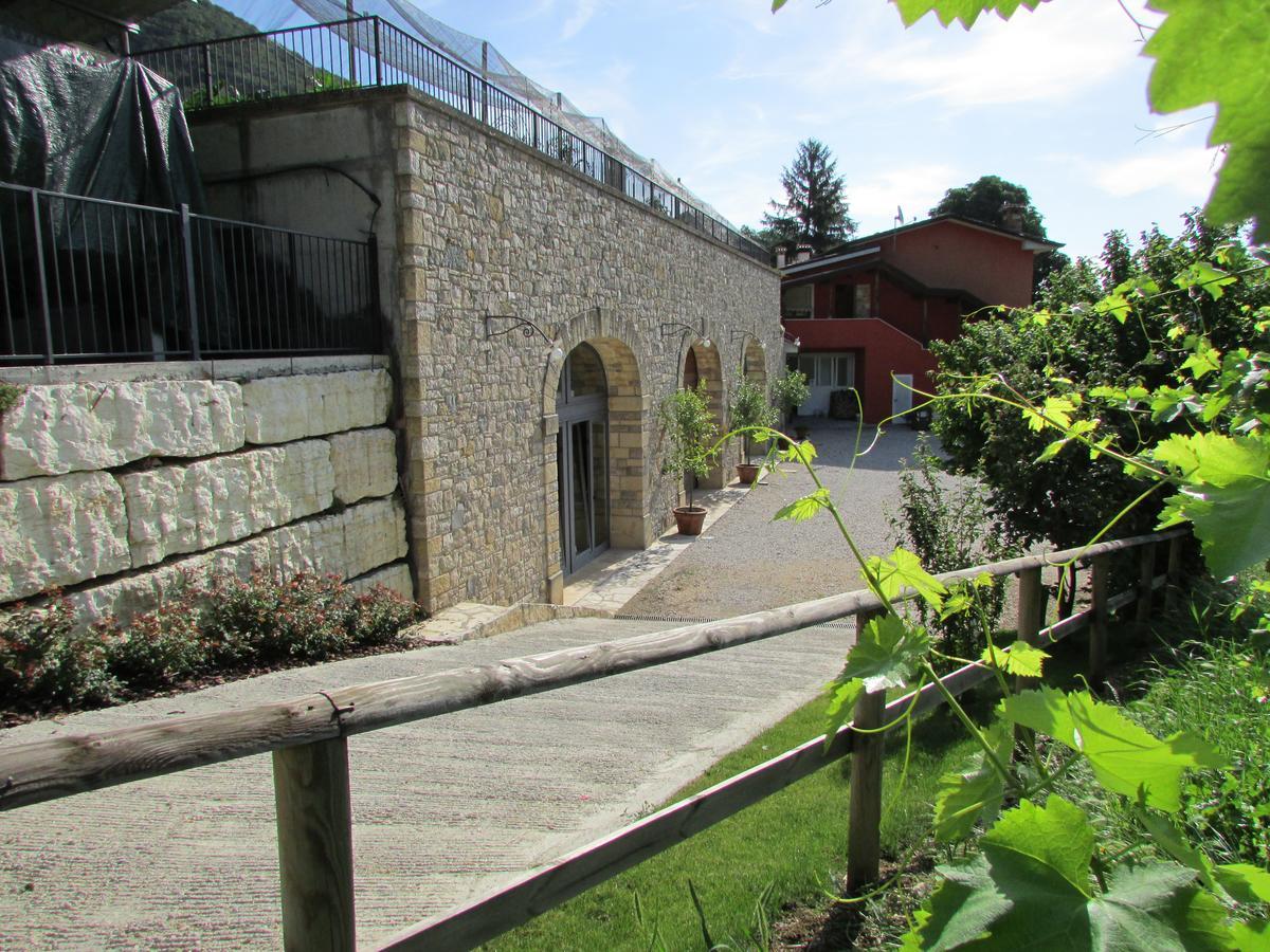 Vigneto Vecio